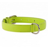 Zgardă din piele netedă, verde 30 - 39cm, 20mm, Zgarda, COLLAR