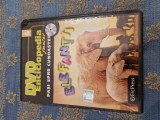 Dvd copii Enciclopedia Junior vol. 6