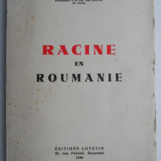 Racine en Roumanie – N. Serban