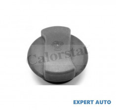 Capac vas expansiune Ford Galaxy (2000-2005) 03650 foto