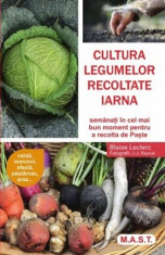 Cultura legumelor recoltate iarna foto