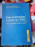 Diana-Olivia Hatneanu, Raluca Stancescu-Cojocaru - Cum sa formulam o cerere la CEDO