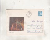 bnk ip Intreg postal 1978 - Jud Gorj - Pestera Polovragi - Cod 0201/78