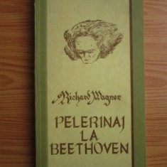 Richard Wagner - Pelerinaj la Beethoven (1979)