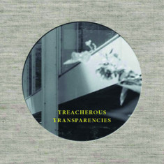 Treacherous Transparencies: Thoughts and Observations Triggered by a Visit to Farnsworth House