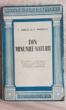 Din minunile naturii - C. Amiral, C. Boerescu, Teora