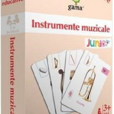 Carti de joc educative - Instrumente muzicale |