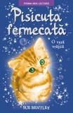 Pisicuța fermecată. O vară vrăjită