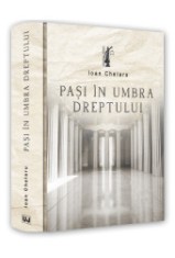 Pasi in umbra dreptului/Ioan Chelaru