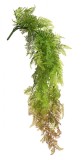 Planta artificiala Sempreverde 88 cm