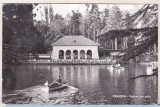 Bnk cp Craiova - Vedere din parc - circulata, Printata