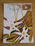 C12 - maxima Romania - tematica flora 4 - prima zi a emisiunii sau expozitii, Romania de la 1950