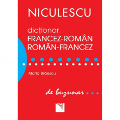 Dictionar de buzunar francez-roman/roman-francez - Maria Braescu foto
