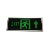 Placa Exit Acumulator, 220v, 1 Fata