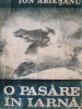 O pasare in iarna Ion Ariesanu 1986
