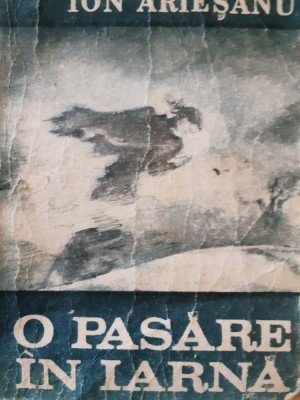 O pasare in iarna Ion Ariesanu 1986 foto