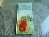 THE LITTLE BEAR WHO WANTED FRIENDS (CARTE PENTRU COPII, IN LIMBA ENGLEZA)