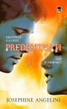 Cumpara ieftin Predestinati. Zeii ii despart/Josephine Angelini, Rao