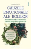 Cauzele emotionale ale bolilor - Christian Fleche
