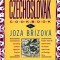 The Czechoslovak Cookbook: Czechoslovakia&#039;s Best-Selling Cookbook Adapted for American Kitchens. Includes Recipes for Authentic Dishes Like Goula