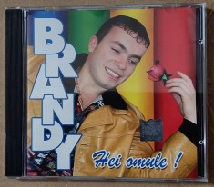 cd audio cu muzica romaneasca, Brandy, manele foto