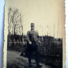 P090 FOTOGRAFIE RAZBOI WWII OFITER TRUPE RAD REICHSARBEITSDIENST 9/6cm