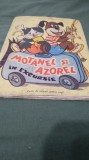 MOTANEL SI AZAOREL IN EXCURSIE /COLORATA