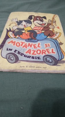 MOTANEL SI AZAOREL IN EXCURSIE /COLORATA foto