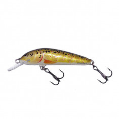 Vobler Salmo Minnow M5F T plutitor 5 cm/3 gr