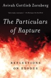 The Particulars of Rapture: Reflections on Exodus