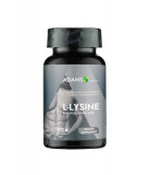 L-Lysine 500 miligrame 90 capsule Adams Vision