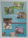 DRUMURI SI UMBRE , INTRE DOUA EUROPE , ITINERAR PRIN BANATUL DE MUNTE de NICOLAE PATRUT , 2006 *DEDICATIE