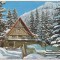 bnk cp Poiana Brasov - Coliba Haiducilor - uzata