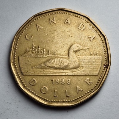 1 Dolar 1988 - Canada foto