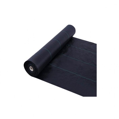 Plasa antiburuieni 1 x 100 m, negru, DSH 241109 foto