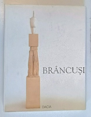 BRANCUSI de IONEL JIANU , 2003 foto