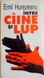 INTRE CAINE SI LUP , RADIOGRAFII ALE TRANZITIEI de EMIL HUREZEANU , 1996*PREZINTA SUBLINIERI