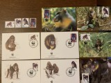 Guineea equatoriala - maimute - serie 4 timbre MNH, 4 FDC, 4 maxime, fauna wwf