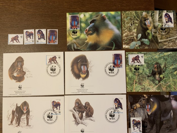 guineea equatoriala - maimute - serie 4 timbre MNH, 4 FDC, 4 maxime, fauna wwf
