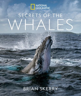 Secrets of the Whales foto