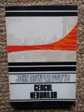 John Cowper Powys - Cercul nebunilor
