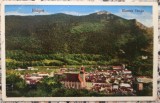 Brasov, Muntele Tampa// CP