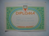 Diploma Daciada, necompletata