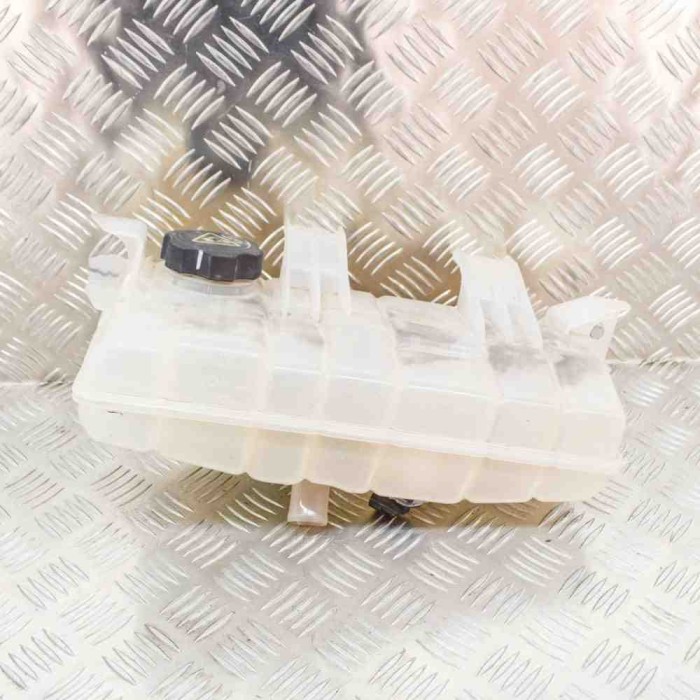 Vas de expansiune TESLA MODEL S 2018 OEM: 1036124-00-D 11493377