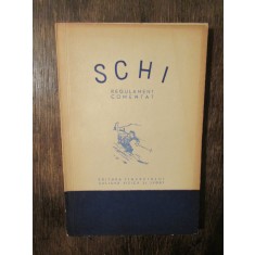 Schi: regulament comentat