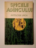 Valeriu Gorunescu (ed.) - Spicele ad&icirc;ncului ad&acirc;ncului (cu dedicația poetului Eugen Cojocaru)
