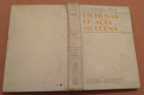 Cumpara ieftin Dictionar De Arta Moderna - Constantin Prut, Alta editura, 1982