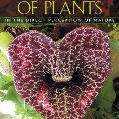 The Secret Teachings of Plants: The Intelligence of the Heart in the Direct Perception of Nature