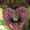 The Secret Teachings of Plants: The Intelligence of the Heart in the Direct Perception of Nature