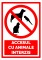 Foto  - 1
